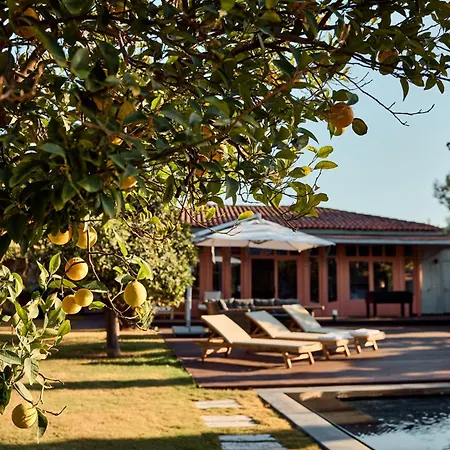 Villa Jungle Eva Bodrum