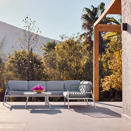 فيلة Jungle Eva *